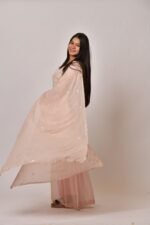 Nude Embroidered Silk Blend Straight Suit With Dupatta - Image 3